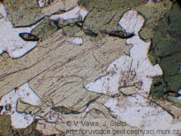 Libodřice - mikrofotografie amfibolu a plagioklasu