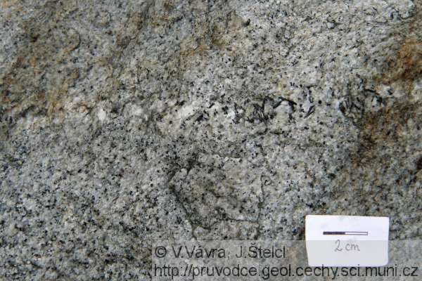 Malenice - biotitový granit tvořící pně a žíly v rulách