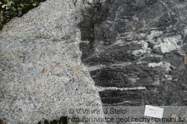 Malenice - ostrý kontakt mezi biotitovým granitem a rulou