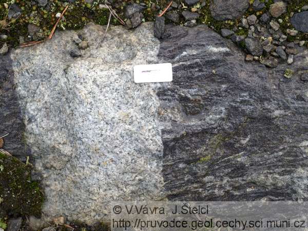 Malenice - ostrý kontakt mezi biotitovým granitem a rulou