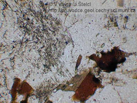 Mrač - mikrofotografie požárského granodioritu