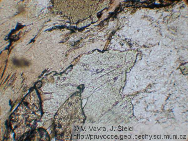 Plaňany - mikrofotografie pyroxen-biotit-amfibolového migmatitu 