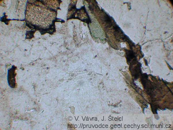 Skuteč - mikrofotografie amfibol-biotitového granodioritu