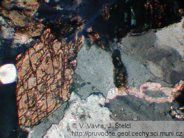 Skuteč - mikrofotografie amfibol-biotitového granodioritu