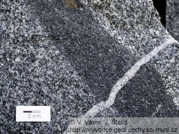 Skuteč - uzavřenina v amfibol-biotitovém granodioritu