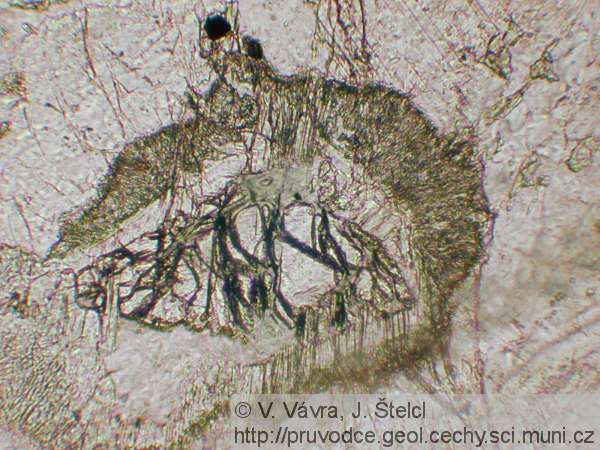 Staré Ransko - mikrofotografie olivinického gabra