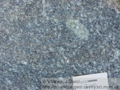 Pohled - granodiorit moldanubického plutonu